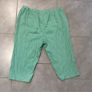 NWOT Easy Essentials Green Casual Shorts
